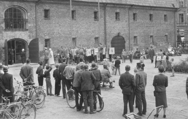 Vi söker museichef/landsantikvarie