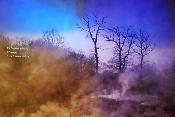 Ett drömskt landskap i gula och lila toner. I bilden står texten, Yxhugg ekar, klingar hårt mot hårt.